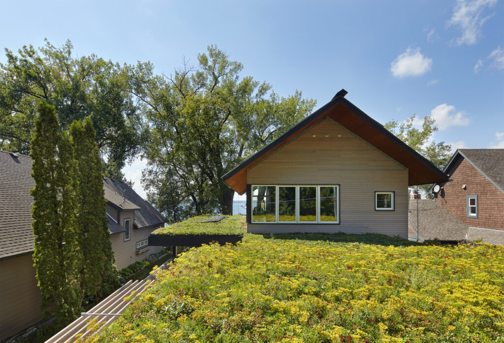 Green residential flat roof with vegetation over garage